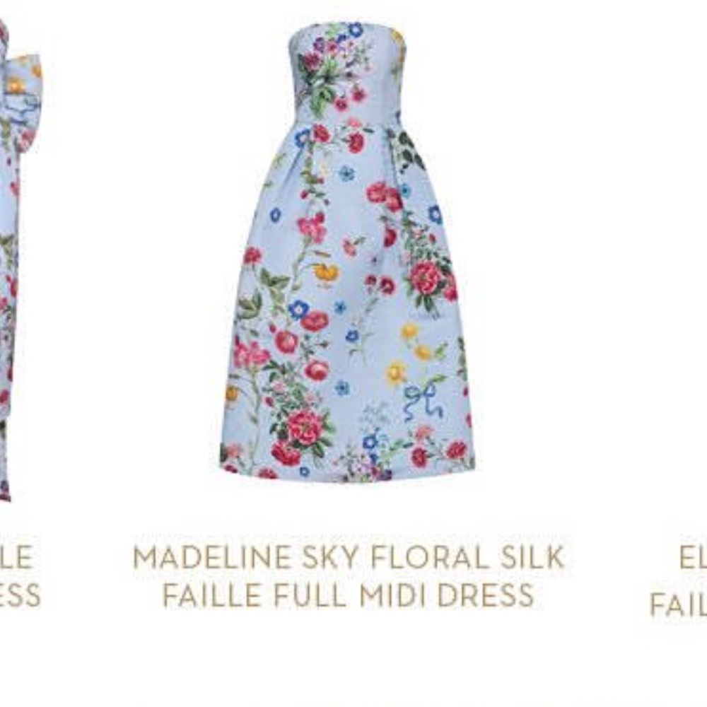 NWT ALEXIA MARIA/STEPHANIE FISHWICK FOR OVER THE MOON MADELINE SKY FLORAL DRESS
